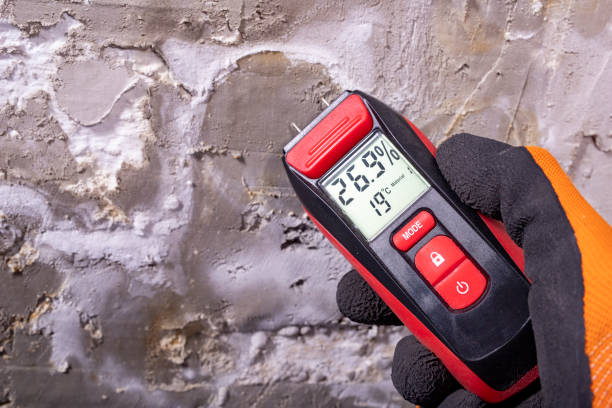 Best Black Mold Removal  in Canaan, CT