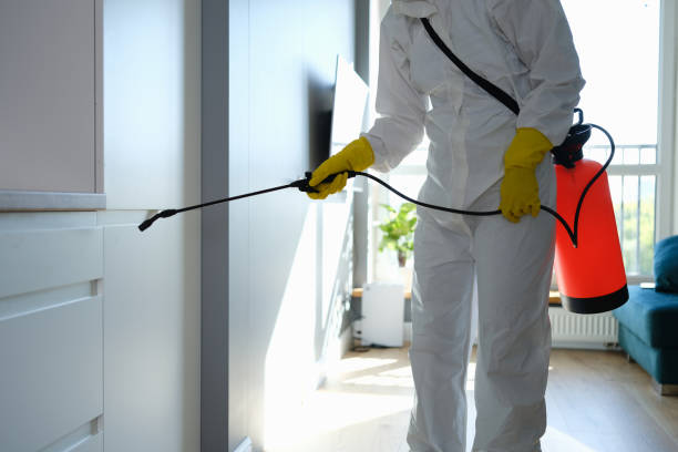 Home Mold Removal in Canaan, CT