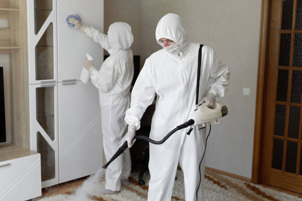 Best Commercial Mold Removal  in Canaan, CT