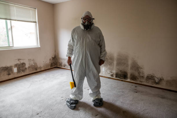 Best Certified Mold Removal  in Canaan, CT